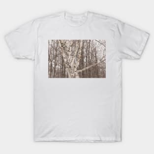 Winter forest T-Shirt